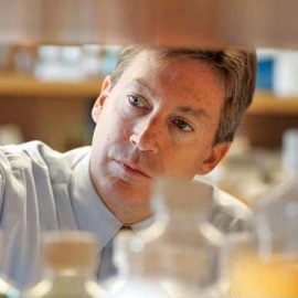 DB in lab